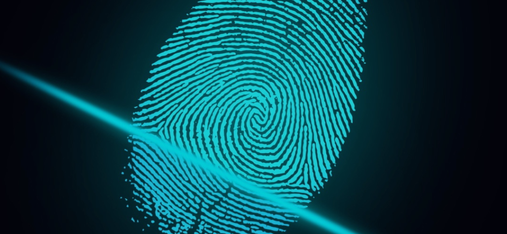 imagen Acceso a la información