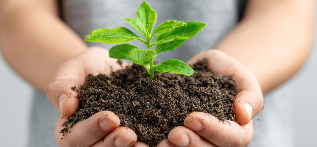 imagen, comunicación para el desarrollo