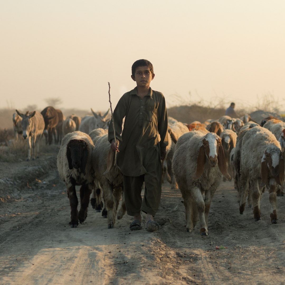 Komunita De la aguja hipodérmica a la soberanía narrativa