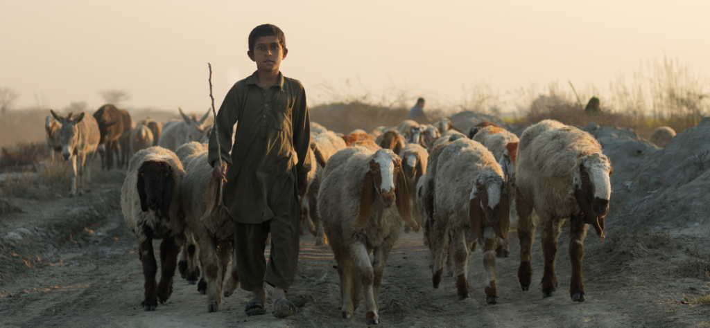 Komunita De la aguja hipodérmica a la soberanía narrativa